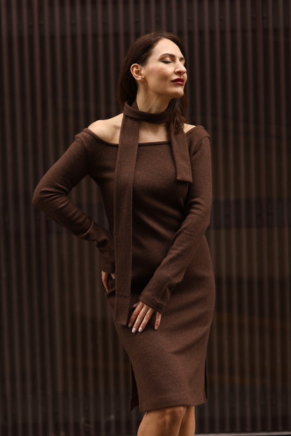 Strickkleid aus Merinowolle, Schokoladenbraun