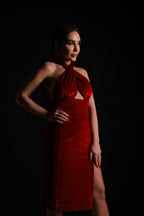 Samtkleid